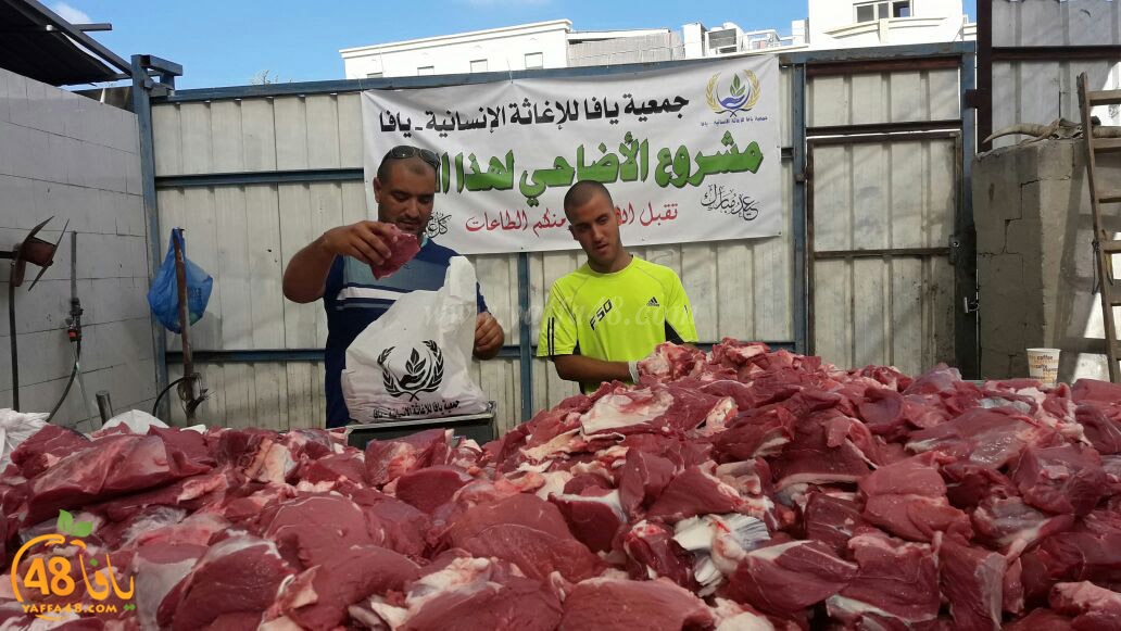 lod8om ada73y (61).jpg